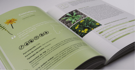 LLIBRE EIXARCOLANT INTERIOR CALENDULA