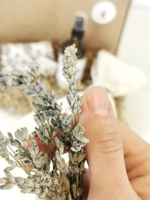 WhatsApp Image 2020-12-04 at 11.38.44