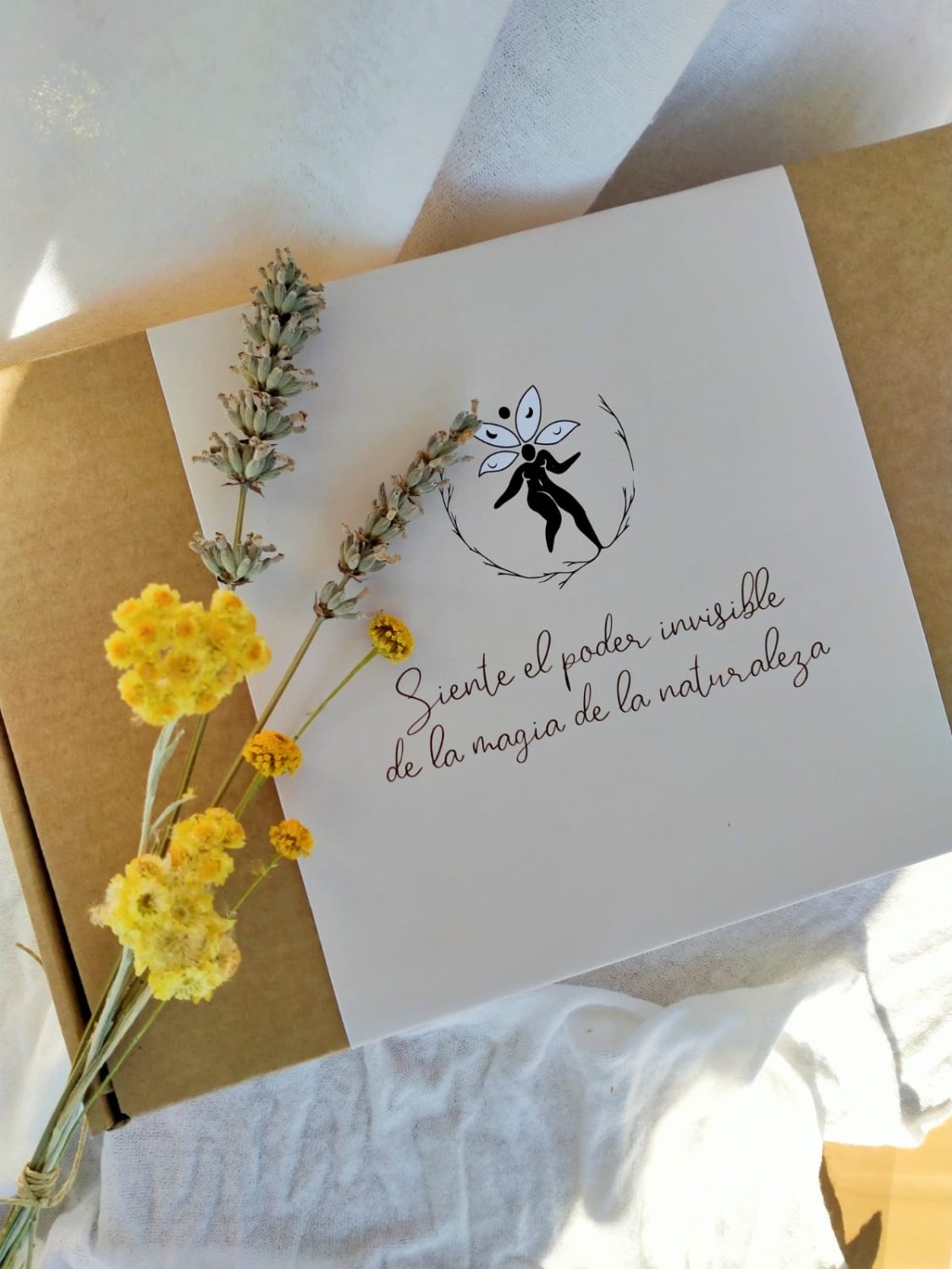 WhatsApp Image 2021-11-23 at 16.52.35