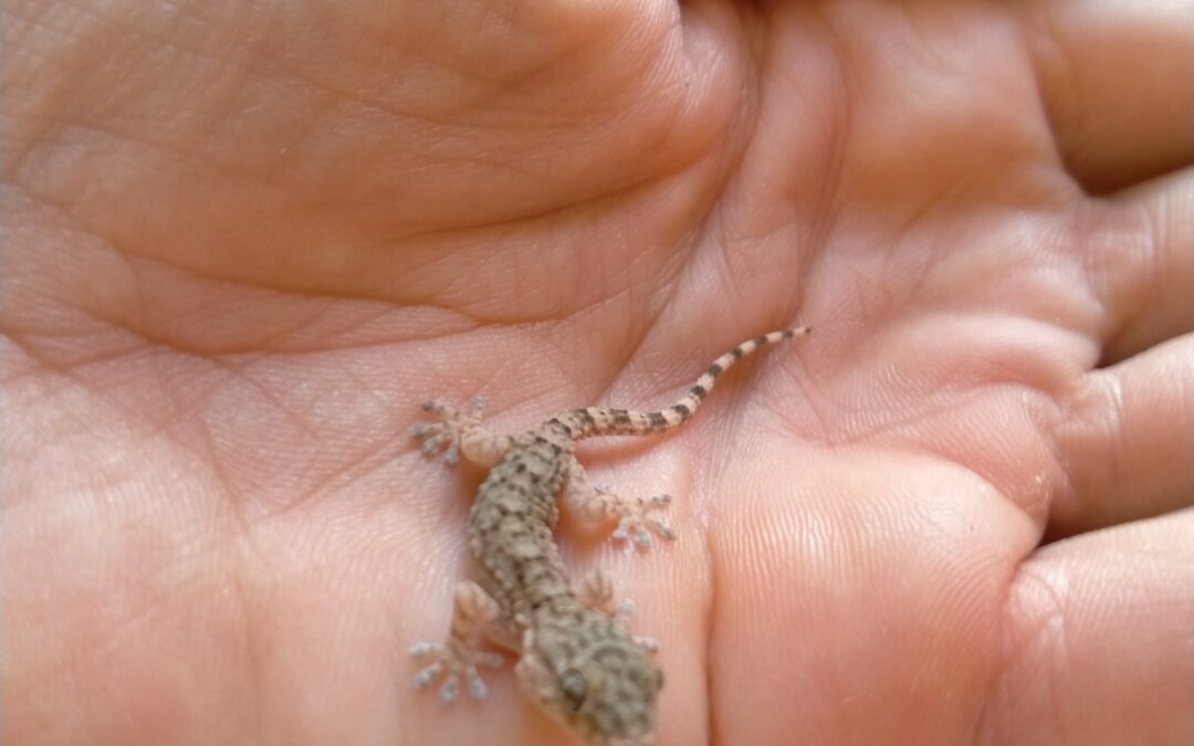 Que significa per a tu cuidar? Cuidar-se?