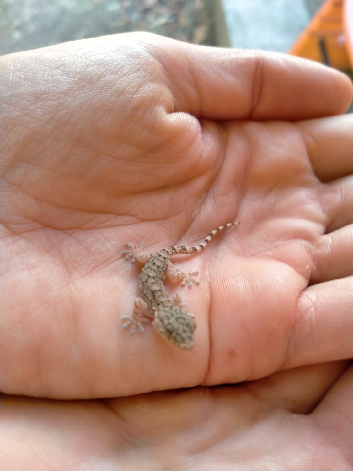 Que significa per a tu cuidar? Cuidar-se?