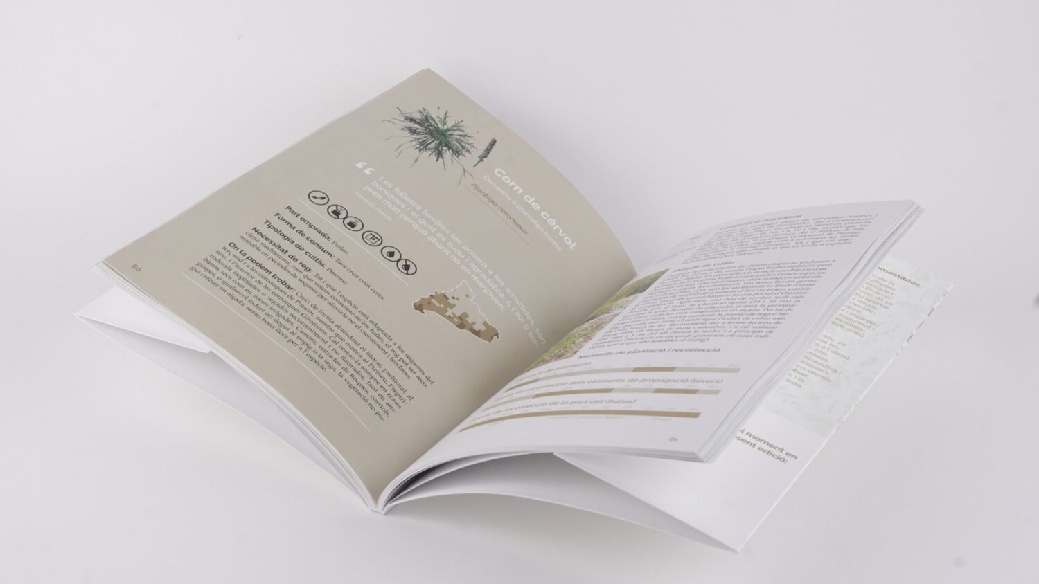 WhatsApp Image 2020-10-26 at 19.13.02