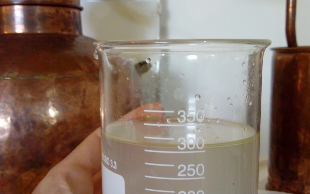 Ús o abús dels olis essencials? La nova “moda natural”