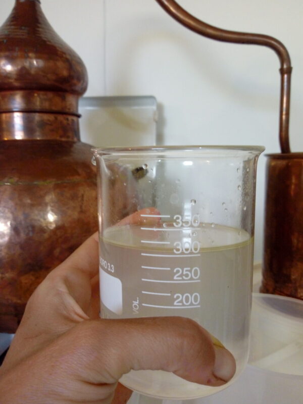 Uso o abuso de los aceites esenciales? La nueva «moda natural»